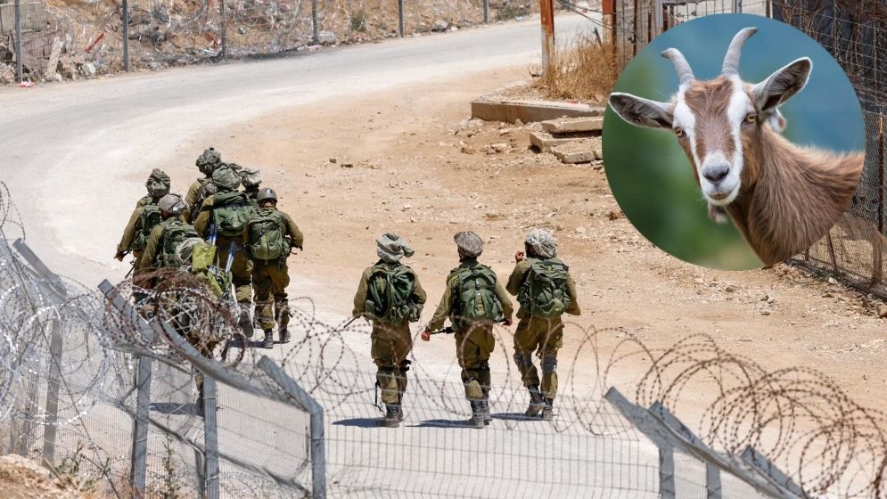 Israeli soldiers accused of stealing goats from Syrian farmers during a military operation near Golan Heights